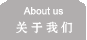 公司介绍